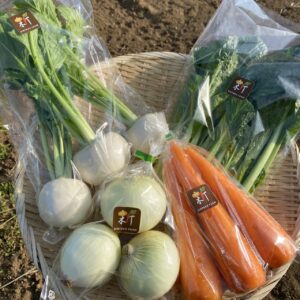 新拓農園旬の野菜Mセット