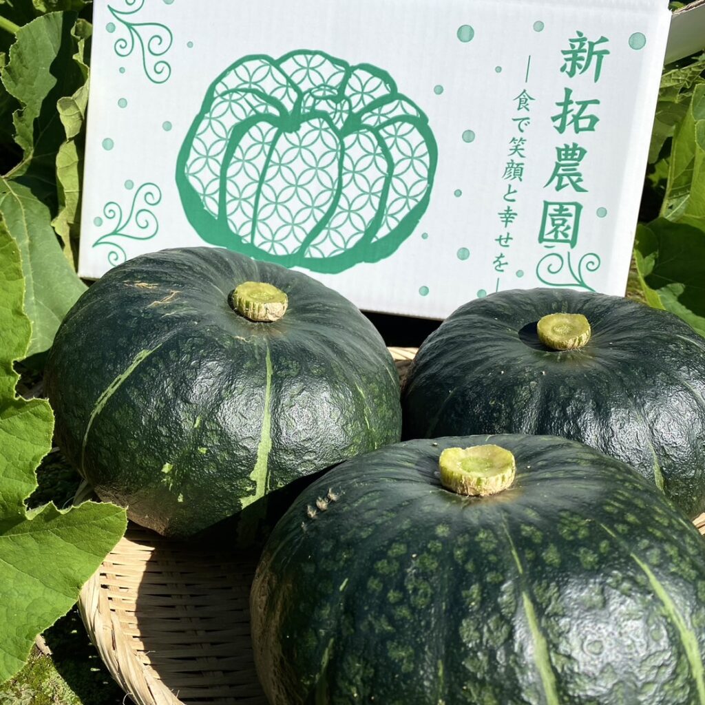 完熟かぼちゃ