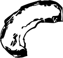 かぼちゃのイラスト