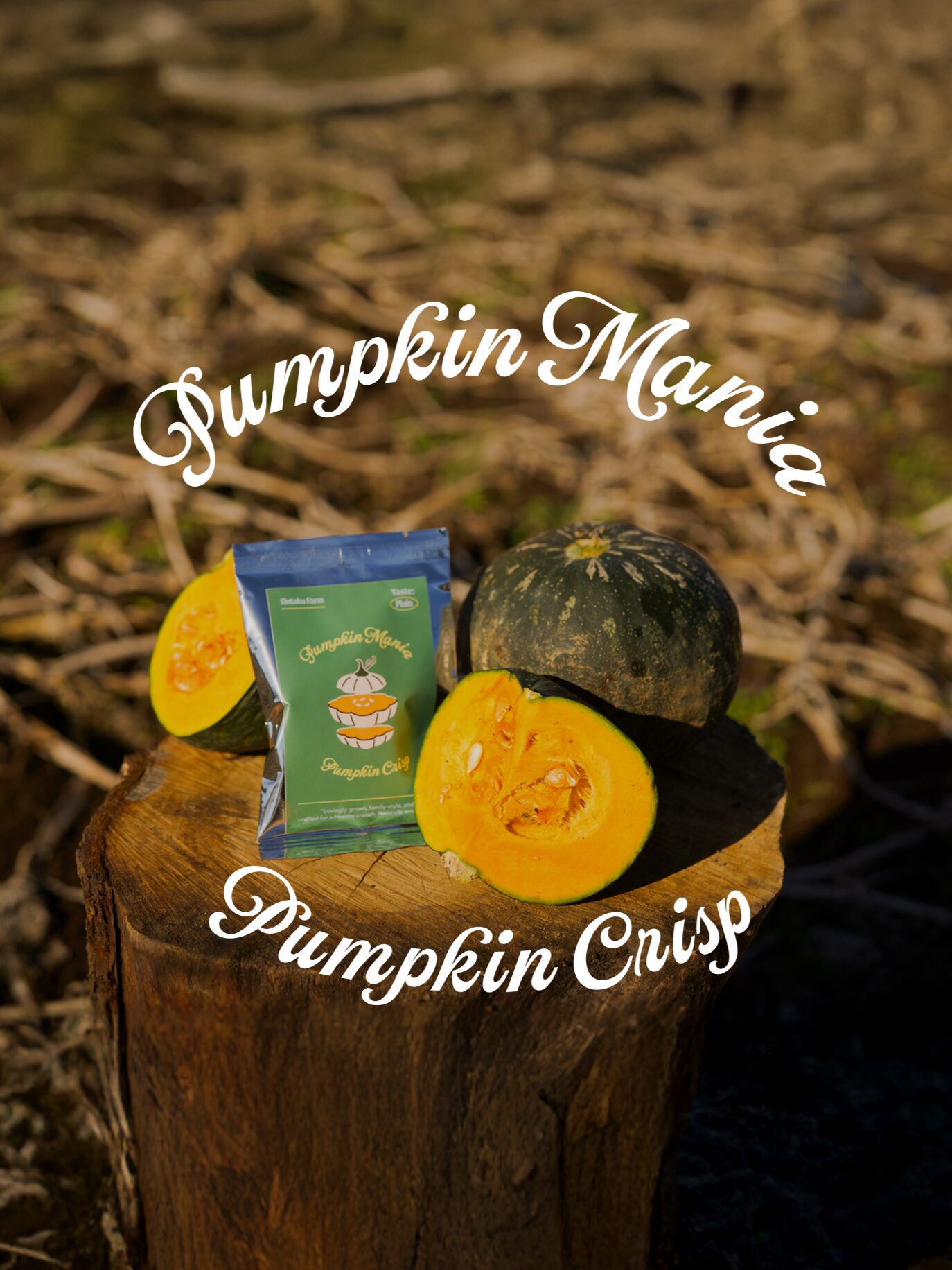 PUMPKIN MANIA - 新拓農園｜Sintaku Farm
