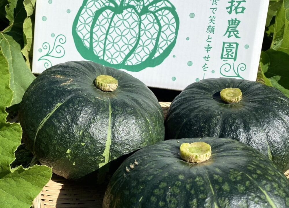 完熟かぼちゃ
